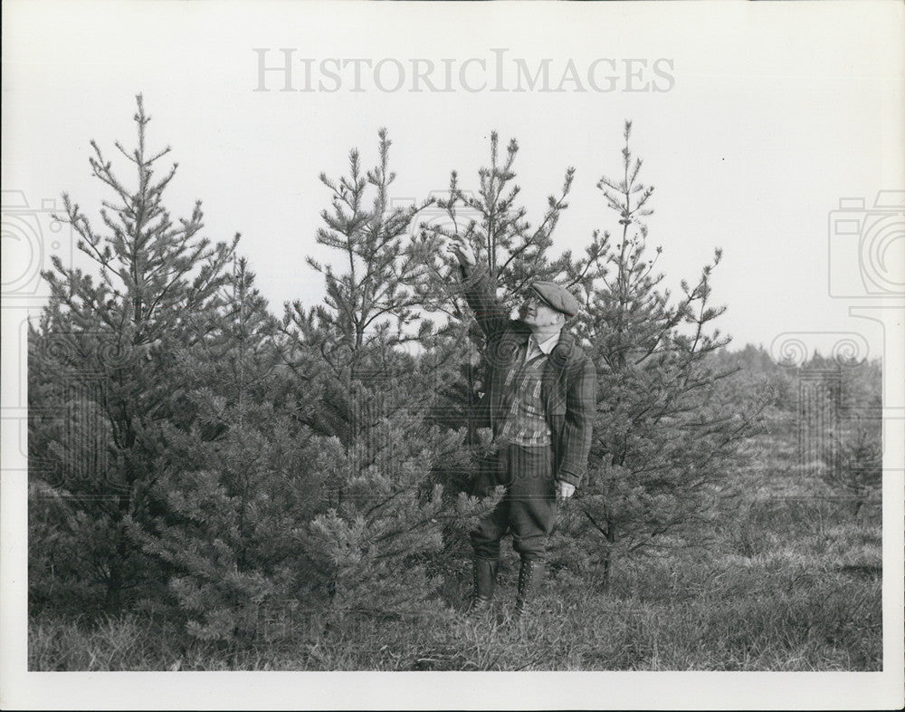 1937 Press Photo Higgins Lake MI Men Check On Planted Trees For Reforestation - Historic Images