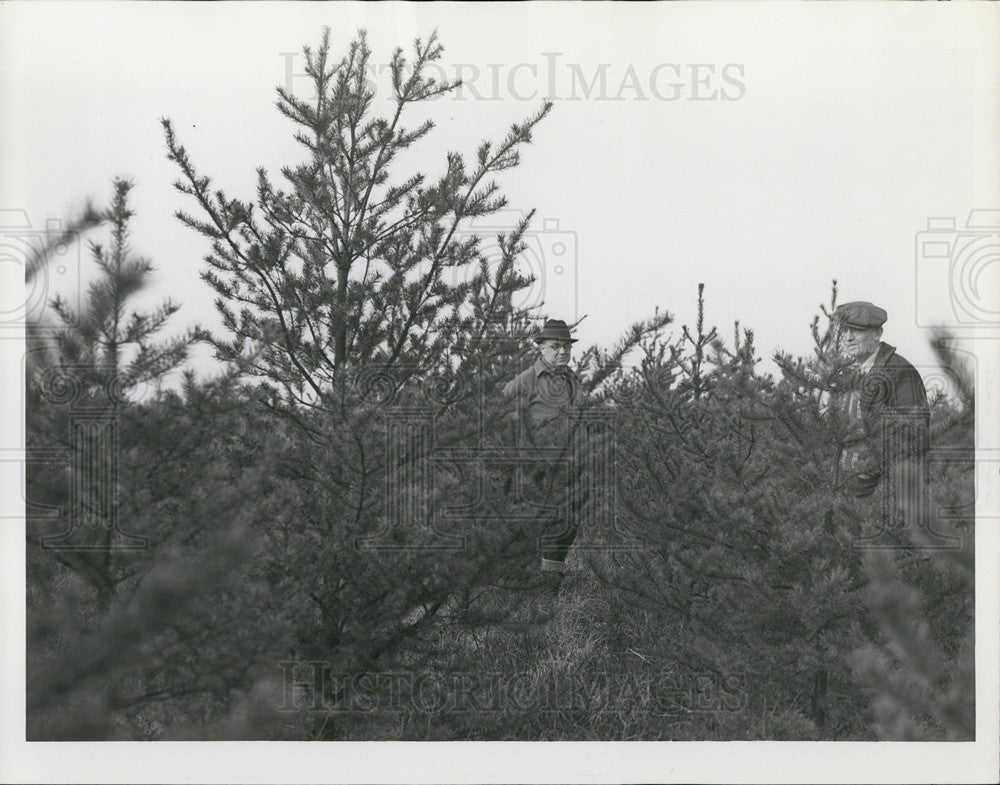 1939 Press Photo Reforestation, Higgins Lake, Michigan - Historic Images