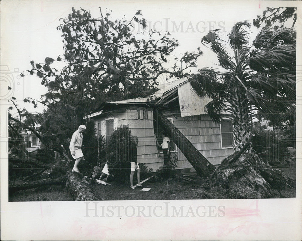 1967 Press Photo Tree fallen on house during hurricane - Historic Images
