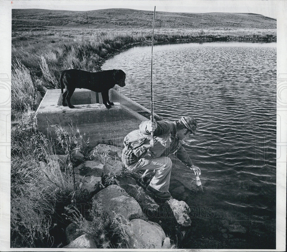 1975 Press Photo Bob Saile/Rainbow Trout Fishing/Labrador Dog/Hunting - Historic Images