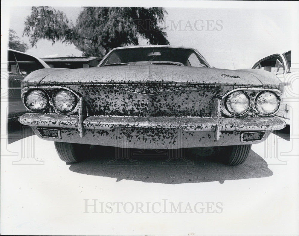 1976 Press Photo Corvair Car Holmes Beach Florida - Historic Images