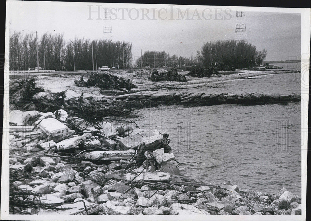 1964 Press Photo Gandy Bridge Causeway Dead Australian Pines In Pinellas Cty - Historic Images