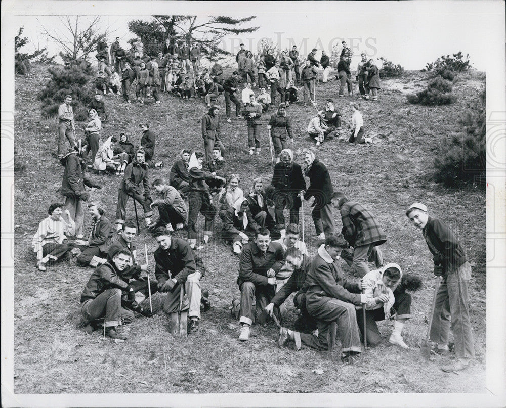 1954 Press Photo Forest reforestation effort in Michigan - Historic Images