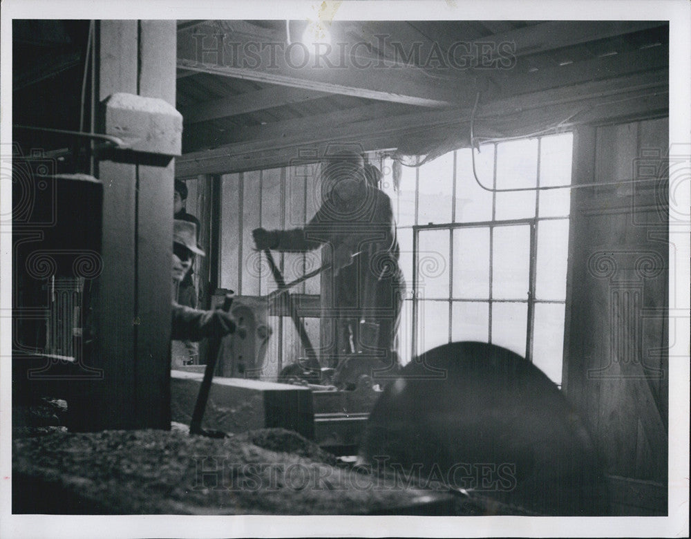 1952 Press Photo Sawmill cutting up logs - Historic Images