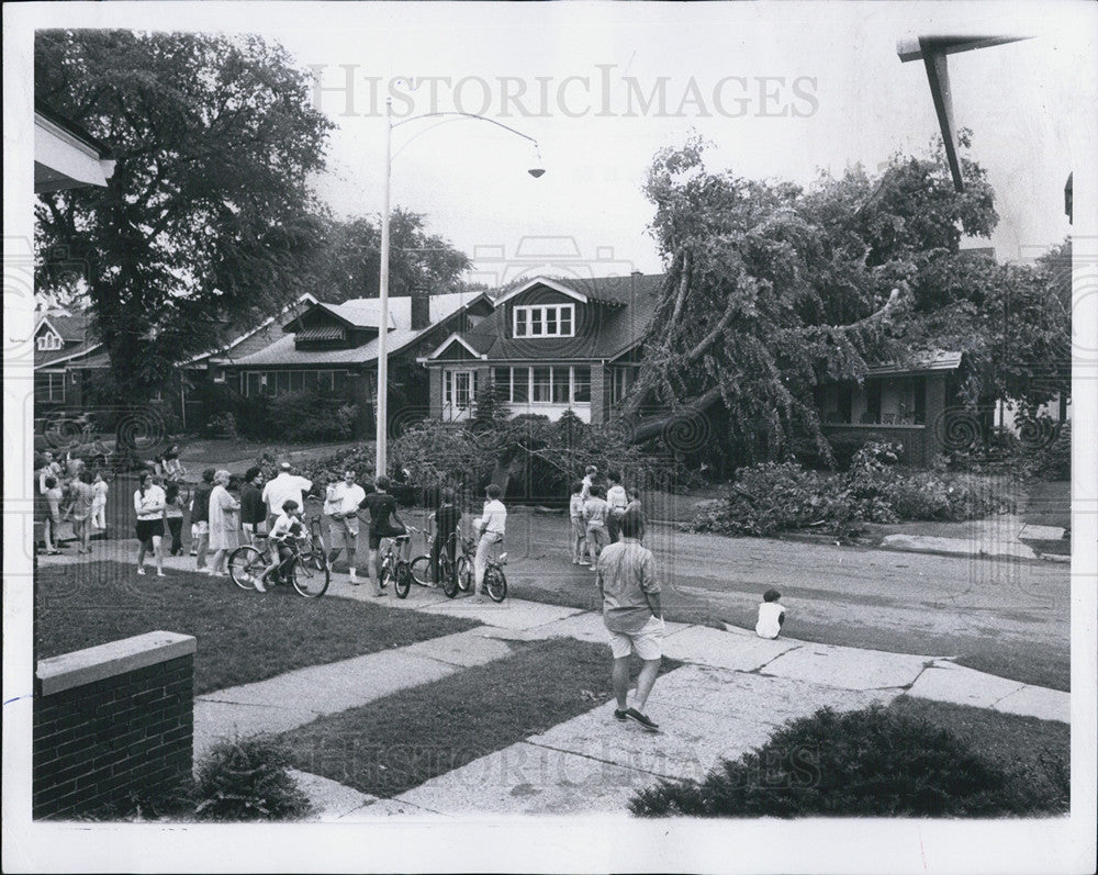 1970 Press Photo Storms knocked tree unto house - Historic Images