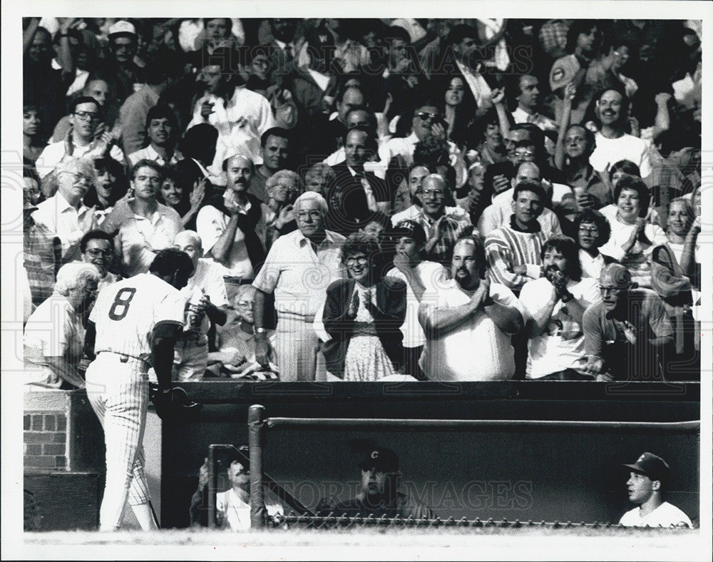 1991 Press Photo Andre Dawson Chicago Cubs Baseball - Historic Images