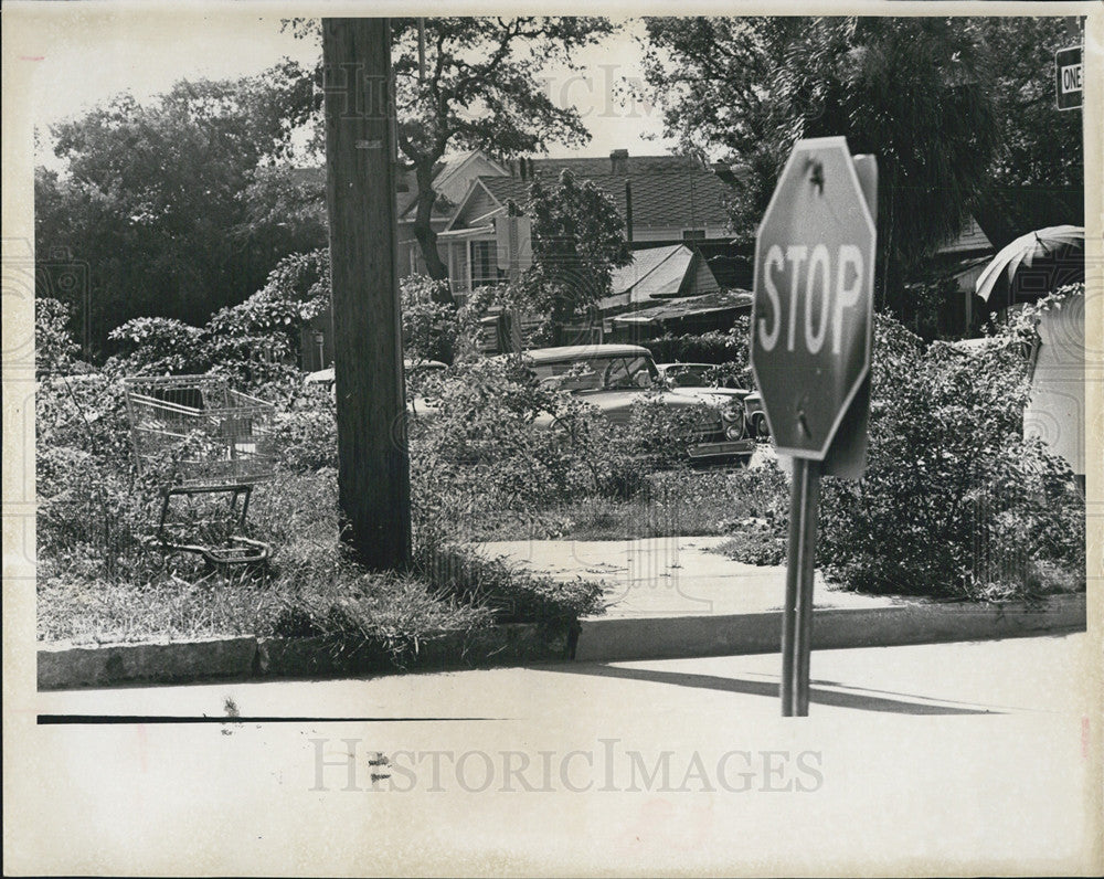 1966 Press Photo A neighborhood in Florida - Historic Images