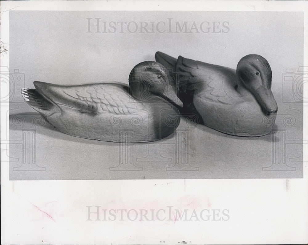 1986 Press Photo Decoy ducks for hunting - Historic Images