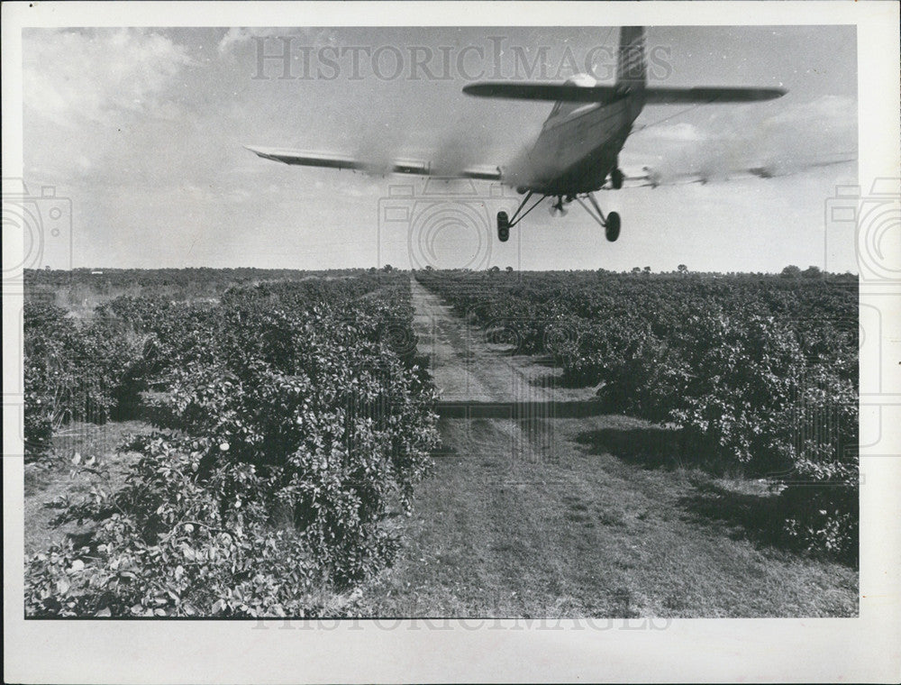 1971 Press Photo Pilots hope to strike low blow against crop-damaging insects - Historic Images