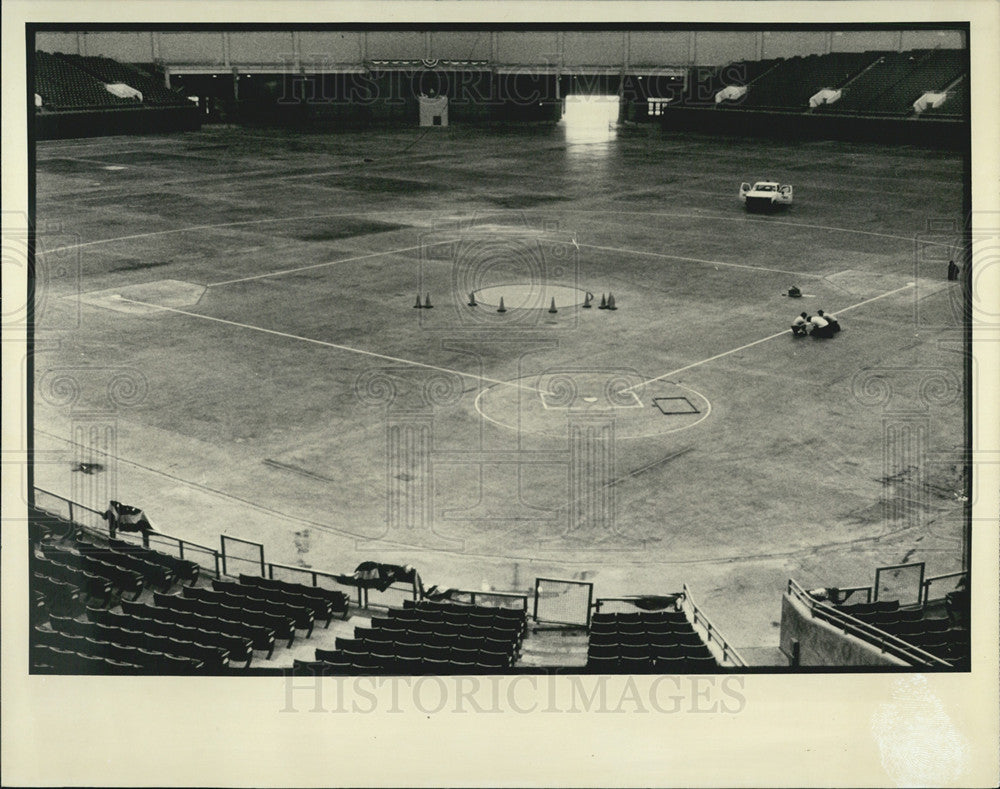 Suncoast Dome