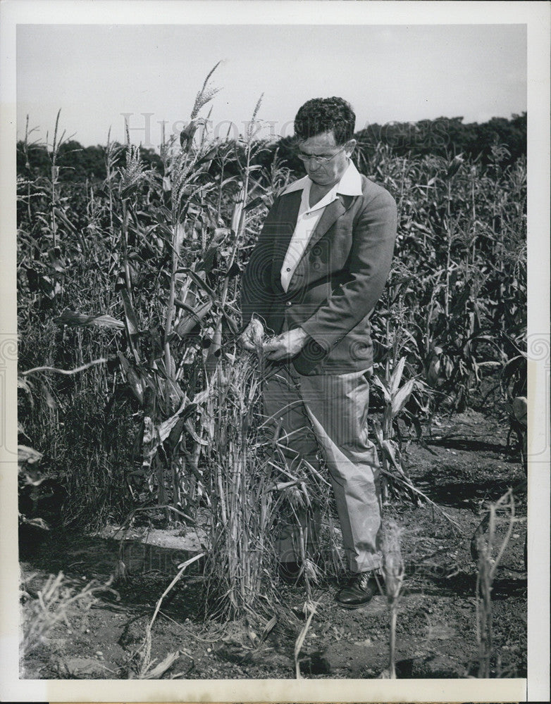 1949 Press Photo Dr Ralph Singleton Harvard Biologist at National Laboratories - Historic Images