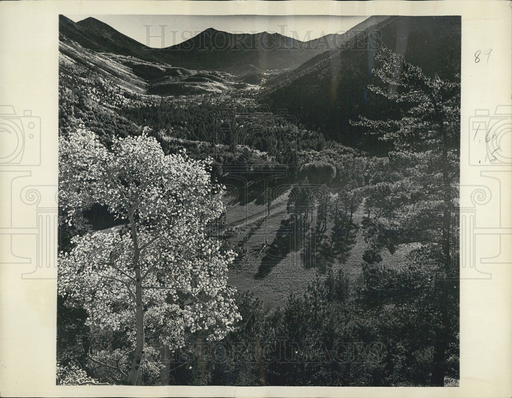1970 Press Photo Lockett Meadow on the Slopes of San Francisco Peaks in Arizona - Historic Images