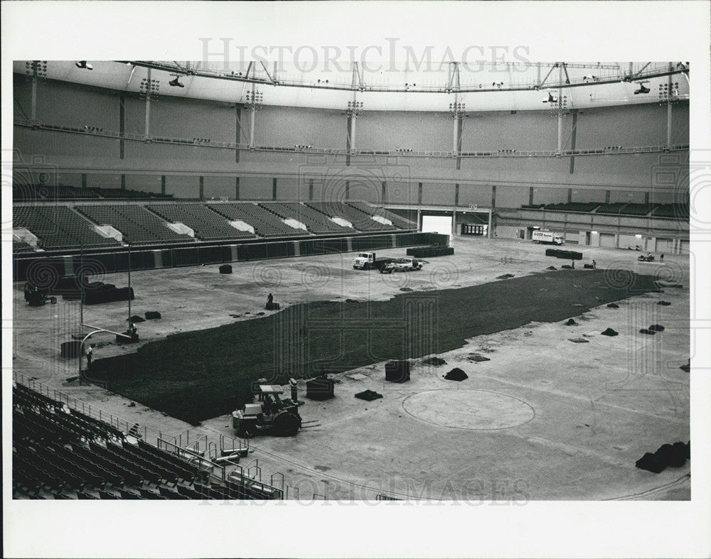 1991 Press Photo Grass Field Laid at Florida&#39;s Suncoast Dome - Historic Images