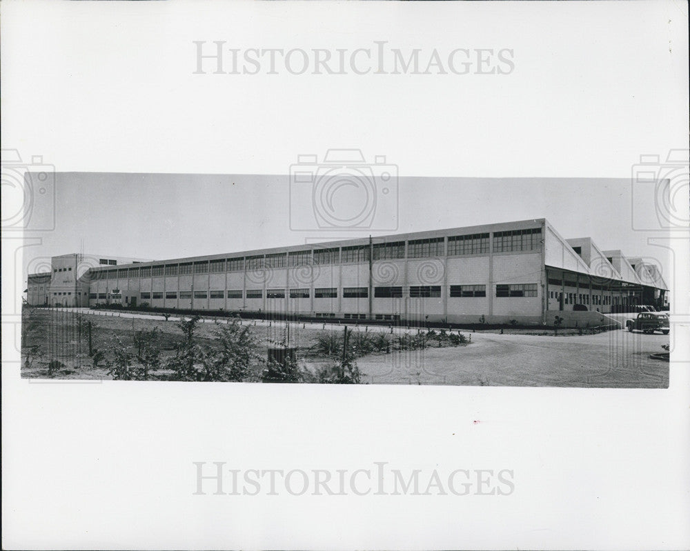 1954 Press Photo Alliance Tire &amp; Rubber Co. Ltd. Hadera Israel - Historic Images