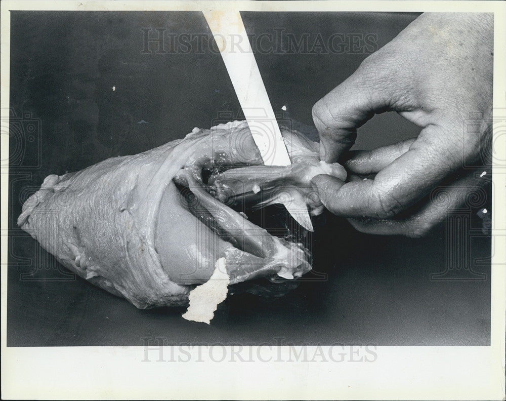 1986 Press Photo Chef showing how to debone a chicken - Historic Images