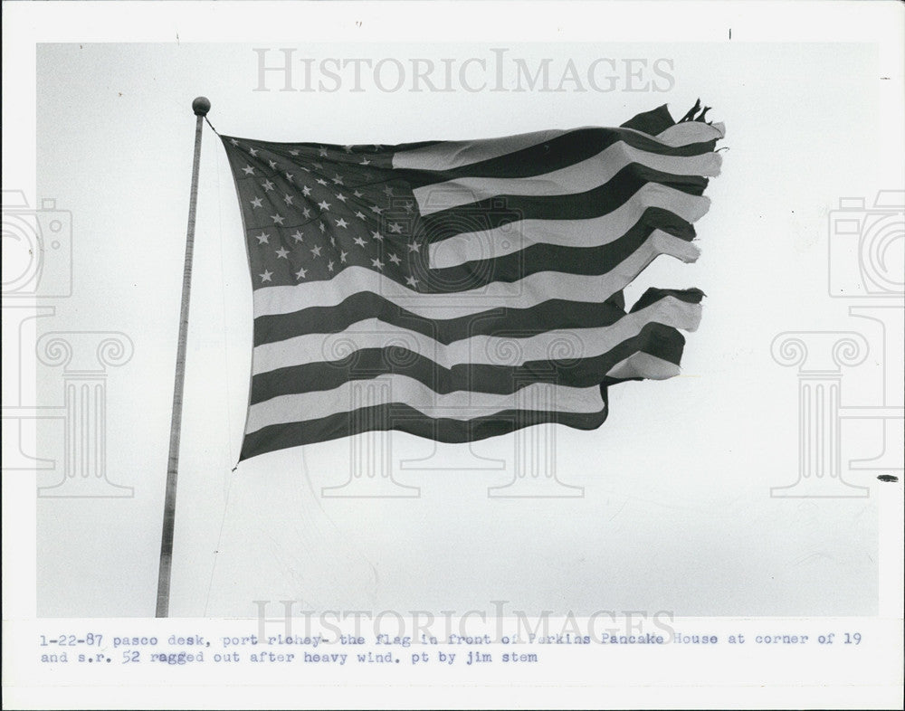 1987 Press Photo Pasco Deck flag - Historic Images