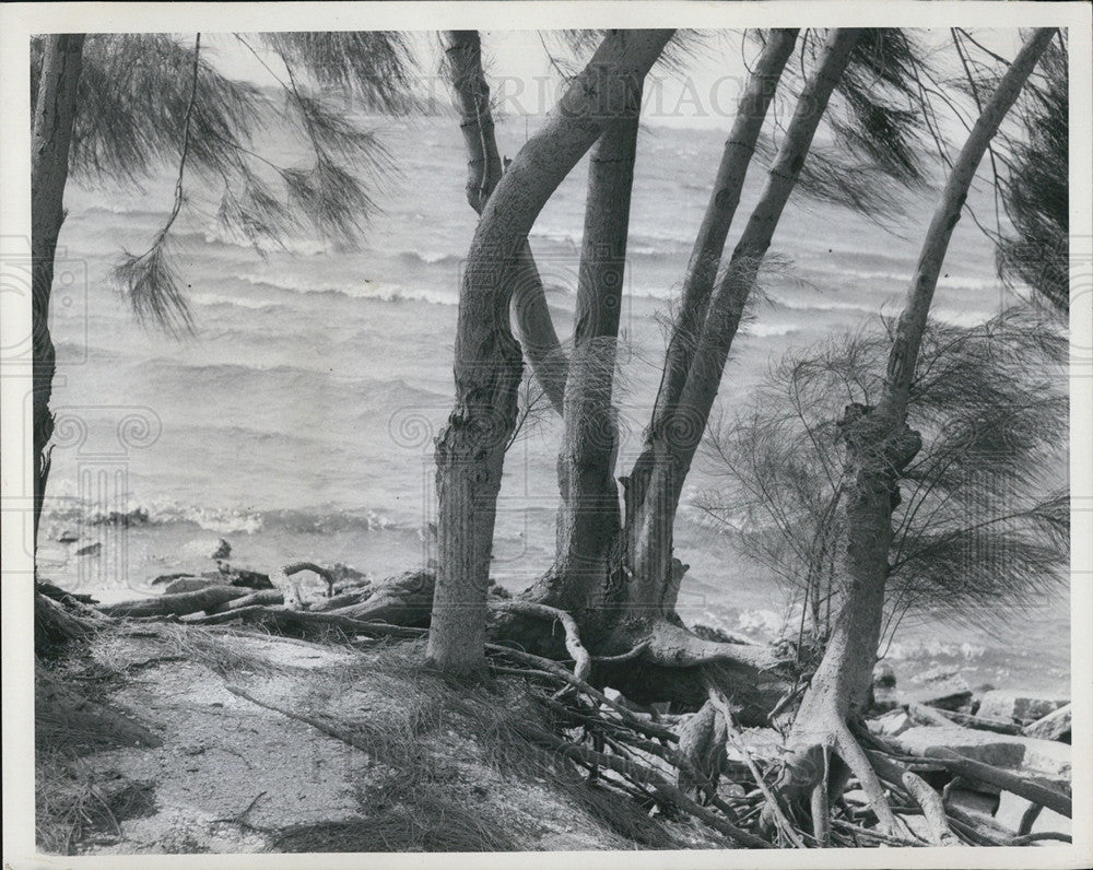 1970 Press Photo High winds along the Manatee River - Historic Images