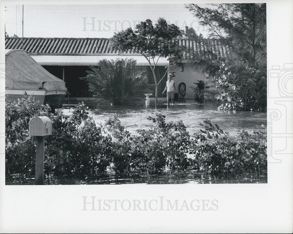 1972 Press Photo Hurricanes (1972) - Historic Images