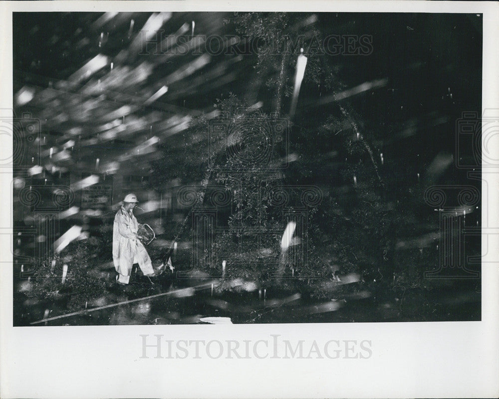 1966 Press Photo Hurricane Alma - Historic Images