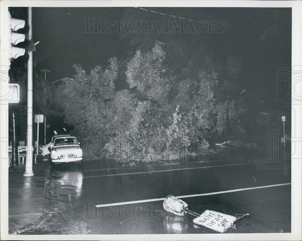 1966 Press Photo Hurricane Alma - Historic Images