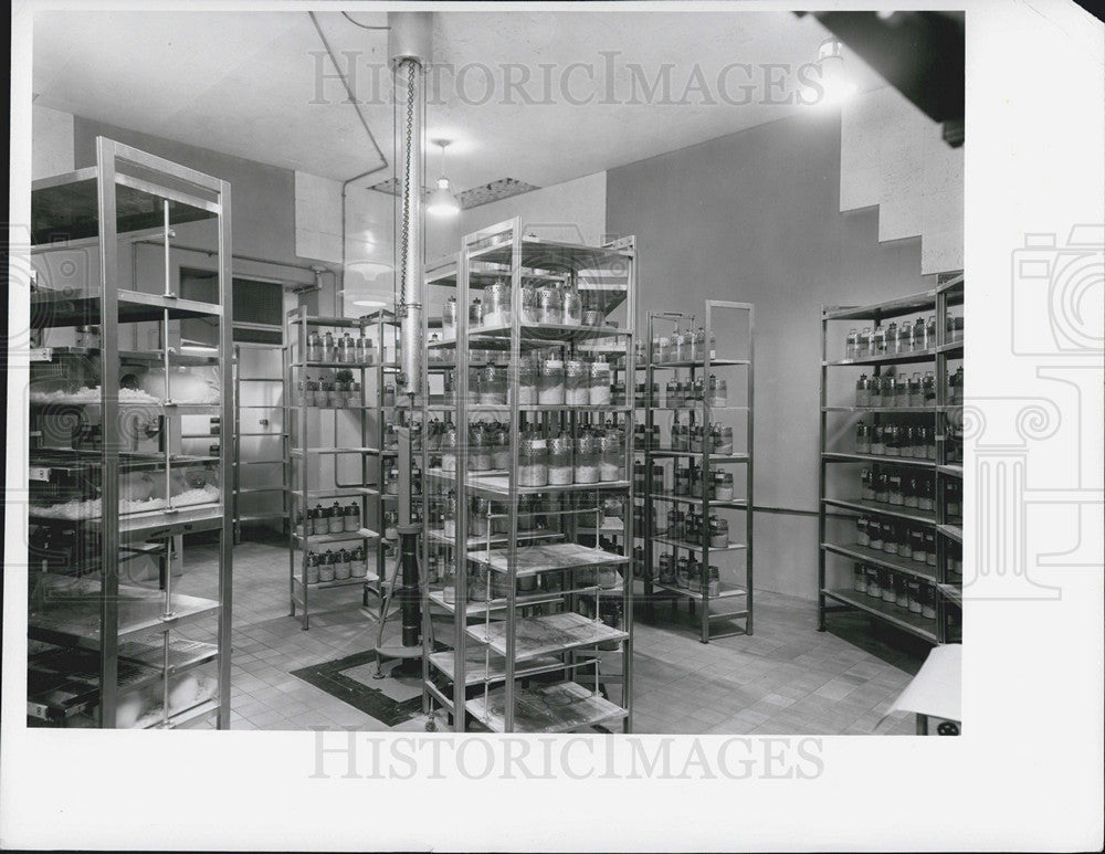 1959 Press Photo Low Level Gamma Room, Argonne National Laboratory - Historic Images