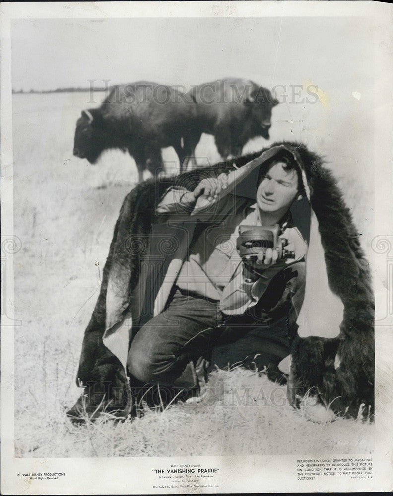 1954 Press Photo Naturalist photographer Tom McHugh and some buffalo - Historic Images