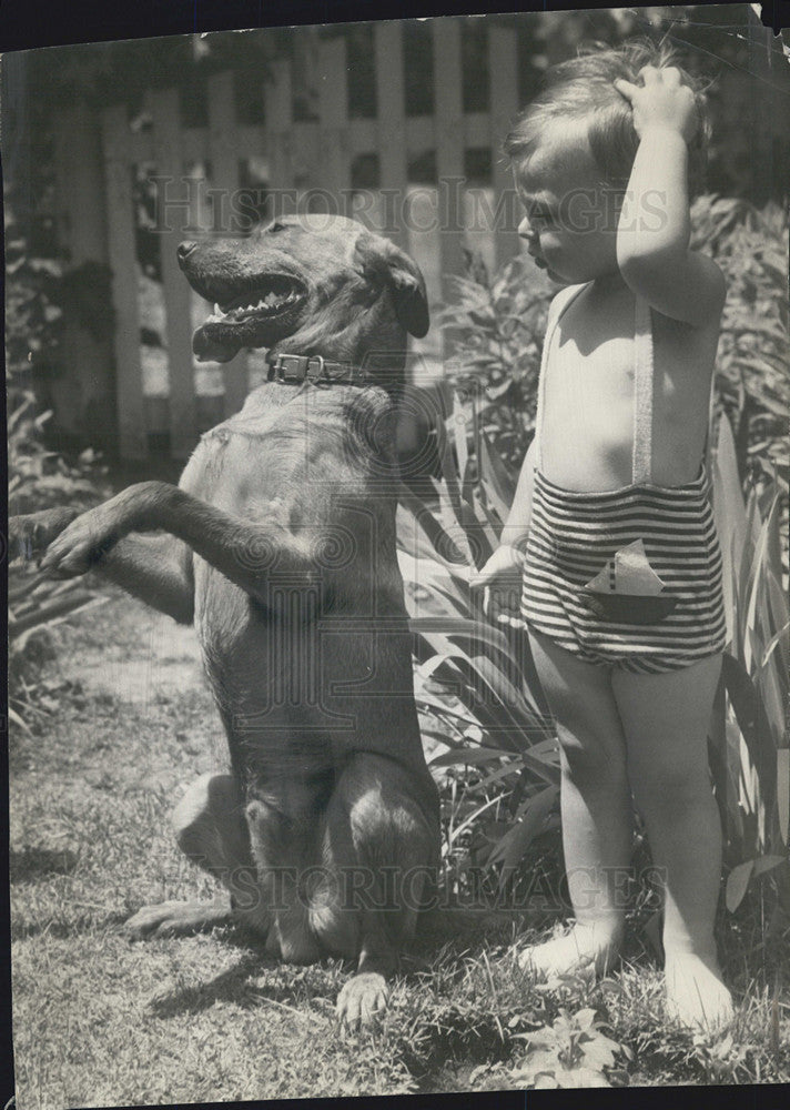 1933 Press Photo Adlai Stevenson Jr and his dog - Historic Images