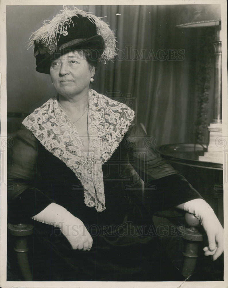 1919 Press Photo Mrs L Hamilton McCormick - Historic Images