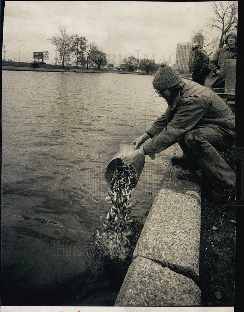 1976 Press Photo Nils Anderson dumps chinook salmon into Lake Michigan. - Historic Images