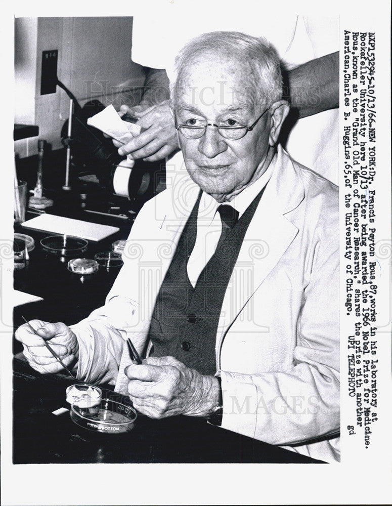 1966 Press Photo Francis Peyton Rous, 1966 Nobel Prize for Medicine - Historic Images