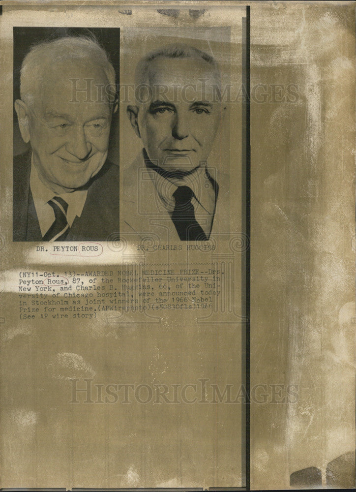 1966 Press Photo Award Nobel Prize  Drs. Peyton Rous & Charles Huggins - Historic Images