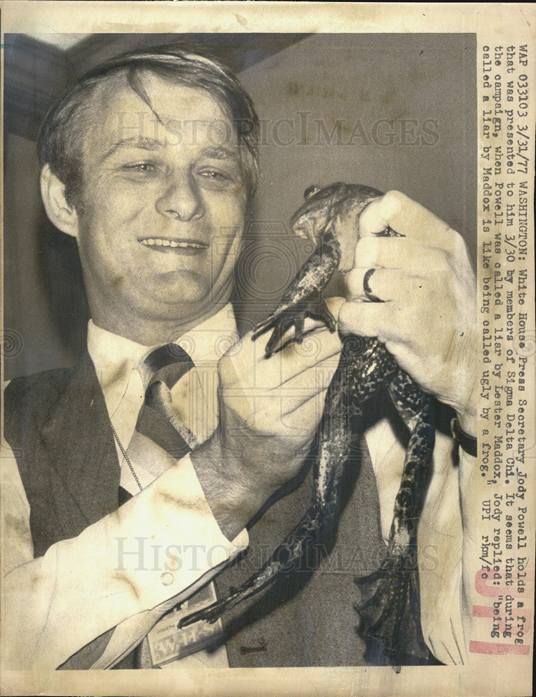 1977 Press Photo White House Press Secretary Jody Powell holds frog - Historic Images