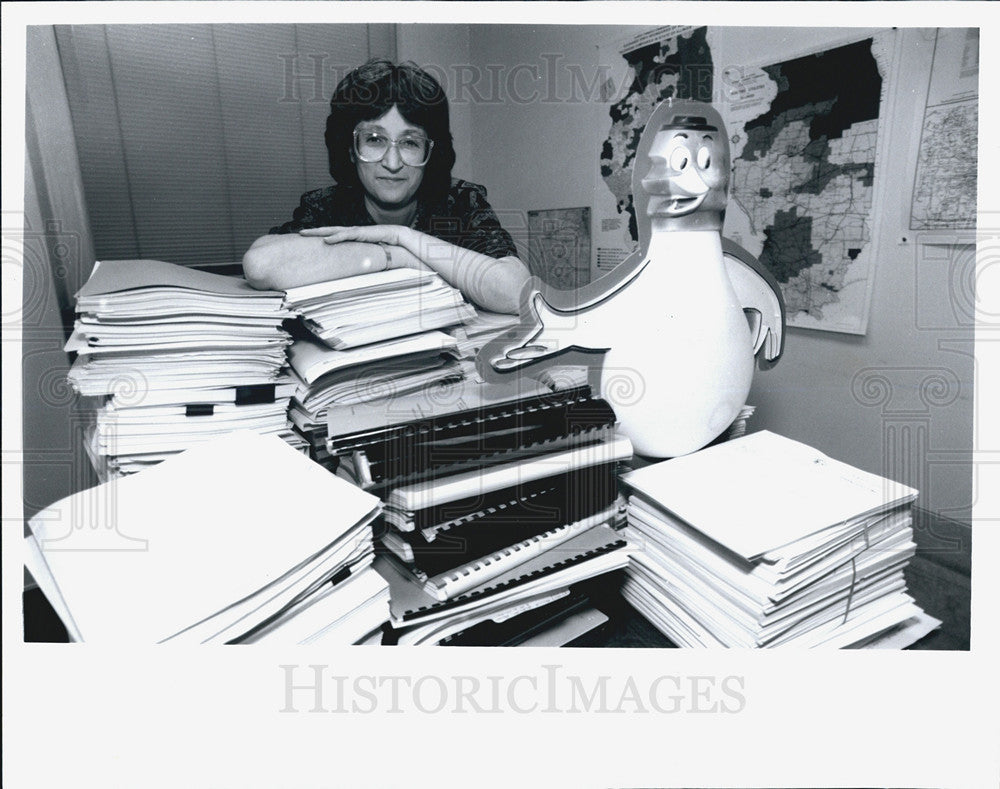 1993 Press Photo Sue Stewart, Executive Director of Citizen&#39;s Utility Board - Historic Images