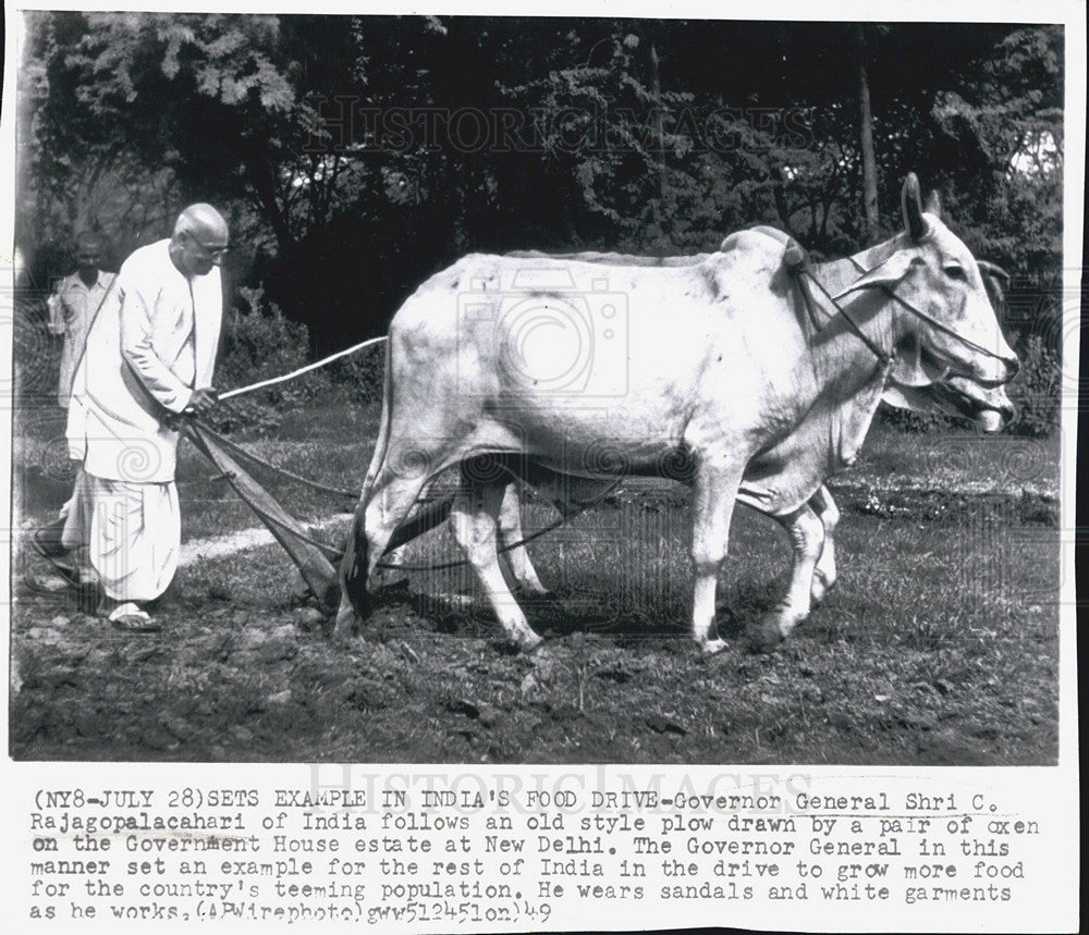 1949 Press Photo Governor General Shri C. Rajagopalacahari Follows Old Plow - Historic Images