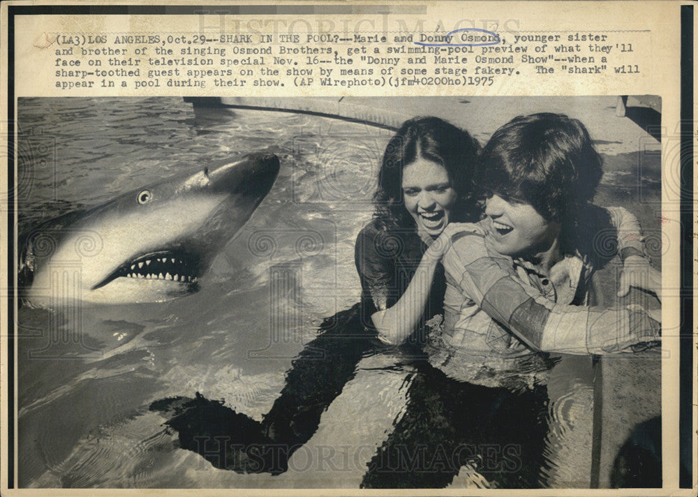 1975 Press Photo Marie &amp; Donny Osmond Shark in the Pool - Historic Images