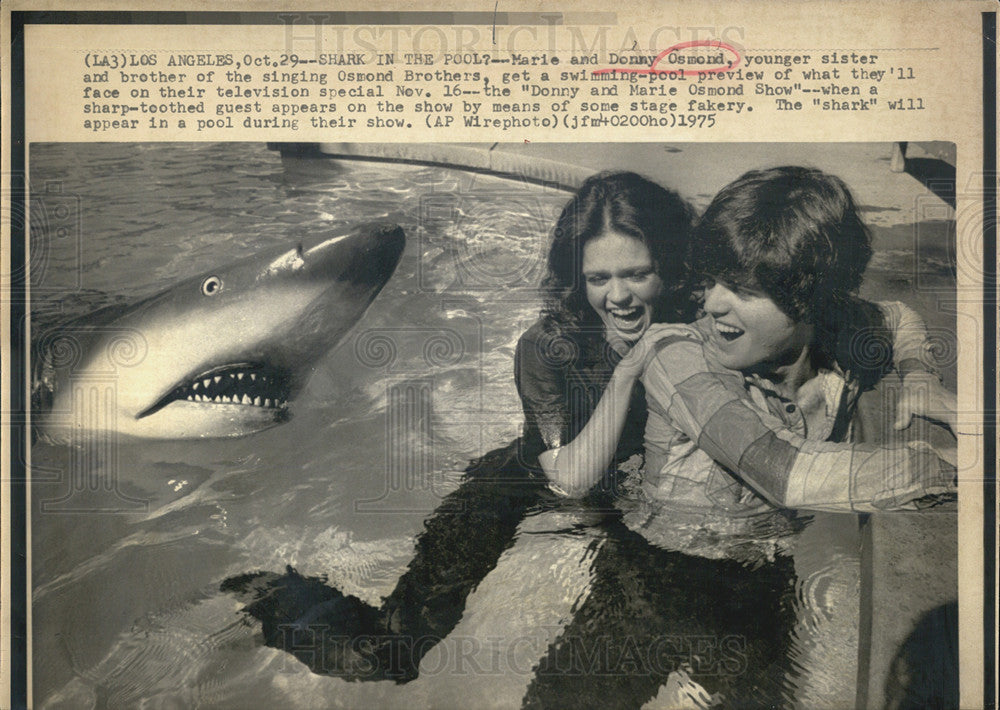 1975 Press Photo Marie &amp; Donny Osmond, Siblings Of &quot;Osmond Brothers&quot; And Shark - Historic Images