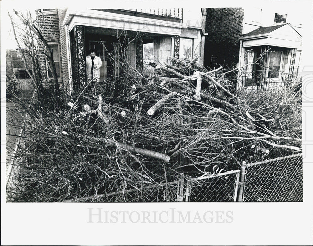 1982 Press Photo &quot;Angelo Prinicipato sues tree cutting company&quot; - Historic Images