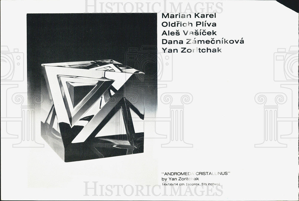 1982PressPhoto Yon Zoritchak &quot;Andromeda Cristallinus&quot;  at Jacques Baruch Gallery - Historic Images