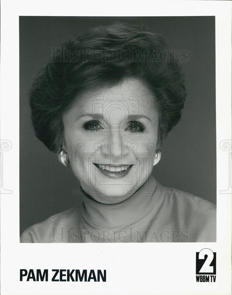 1993 Press Photo Pam Zekman WBBM - Historic Images