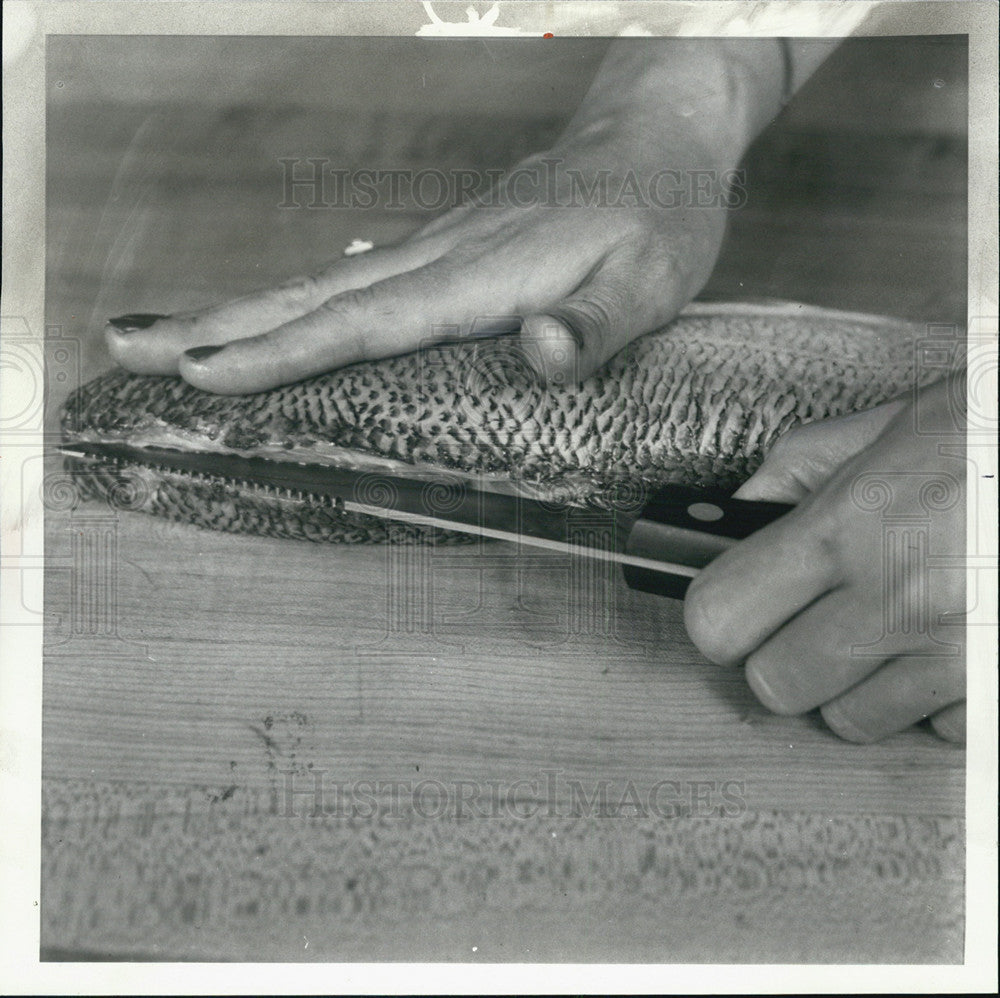 1979 Press Photo Cleaning fish, cut along the backbone - Historic Images