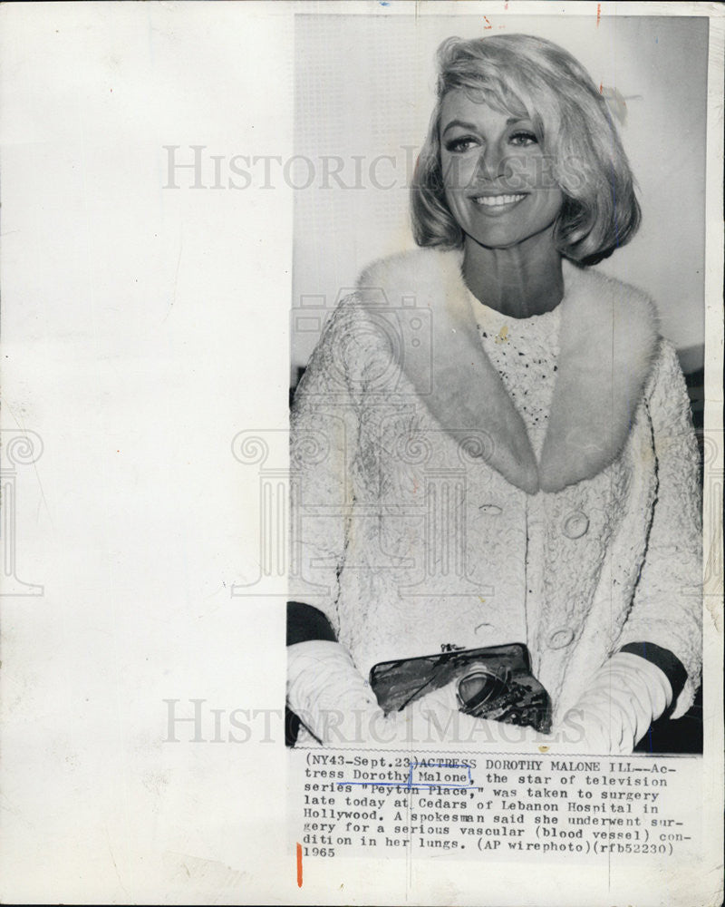 1968 Press Photo - Historic Images