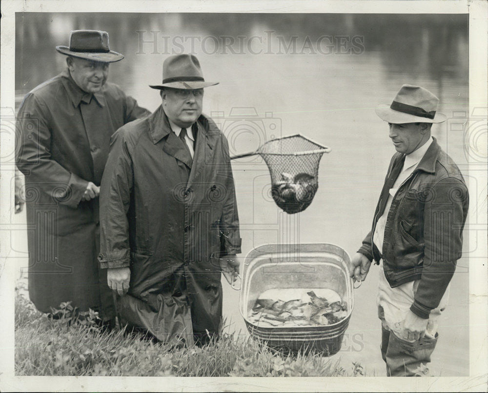 1943 Press Photo Crappies and Sun fish put in Canal in Milan.III. - Historic Images