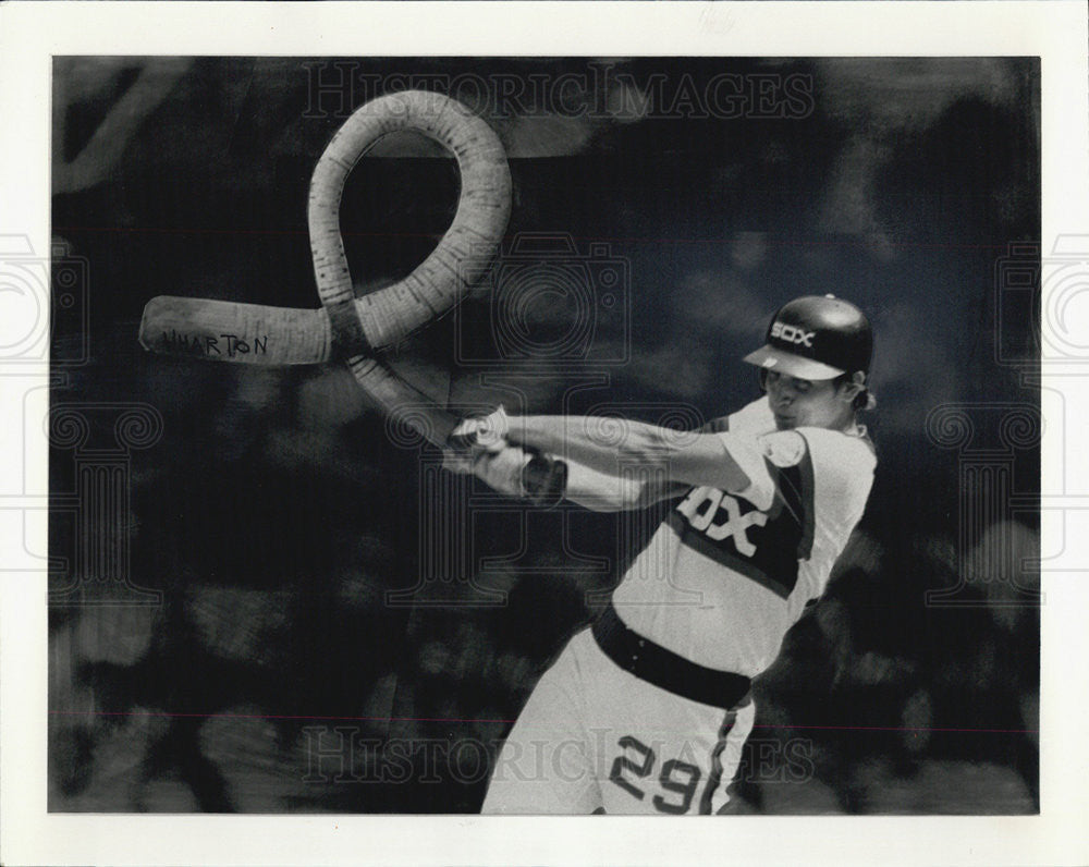 Chicago White Sox First Baseman Greg Walker - Historic Images