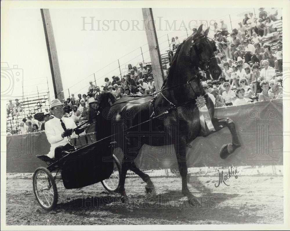 1985 Press Photo Disc Jockey Jack Taylor  with horse - Historic Images