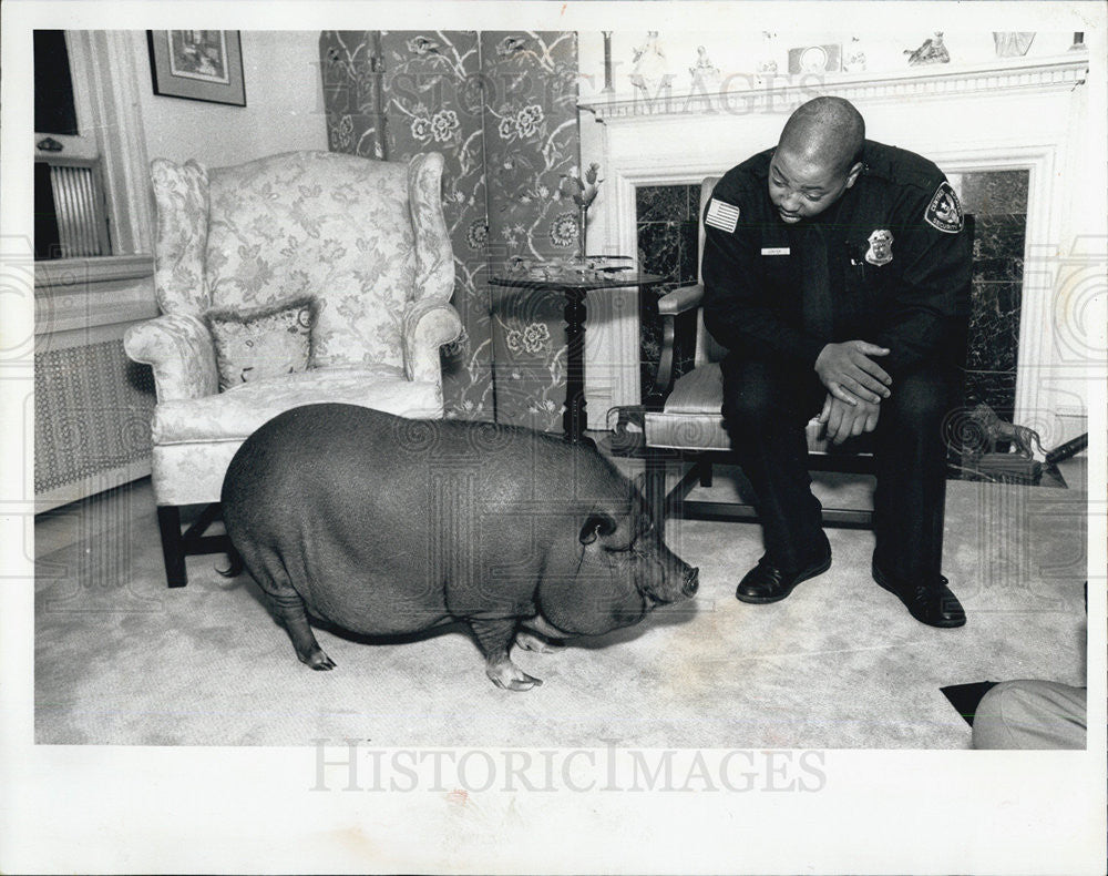 1991 Press Photo Joseph Confer, Private guard, Keeps on eye on Portbelly Laddie - Historic Images