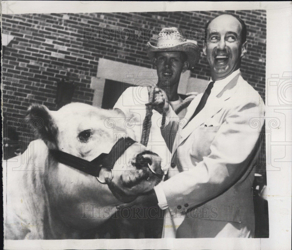 1952 Press Photo Adlai Stevenson At IL State Fair With Prize Winning Steer - Historic Images