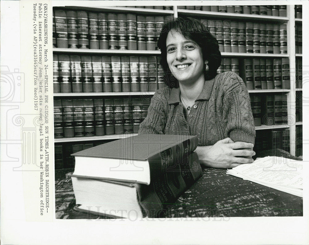 1987 Press Photo Public interest attorney Joan Meier in Washington Office - Historic Images