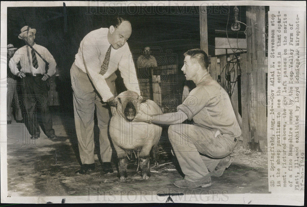 1949 Press Photo Gov.Adlai Stevenson stop in the sheep pavillon - Historic Images