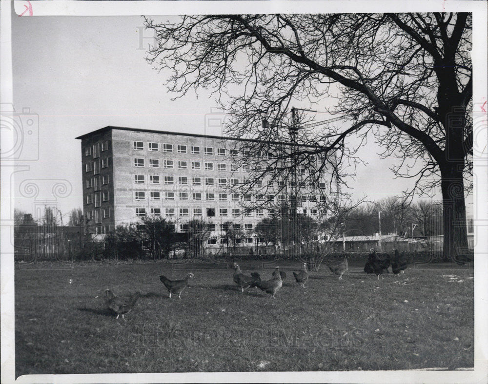 1952 Press Photo Bonn&#39;s Govt office Bldg West German Capital - Historic Images