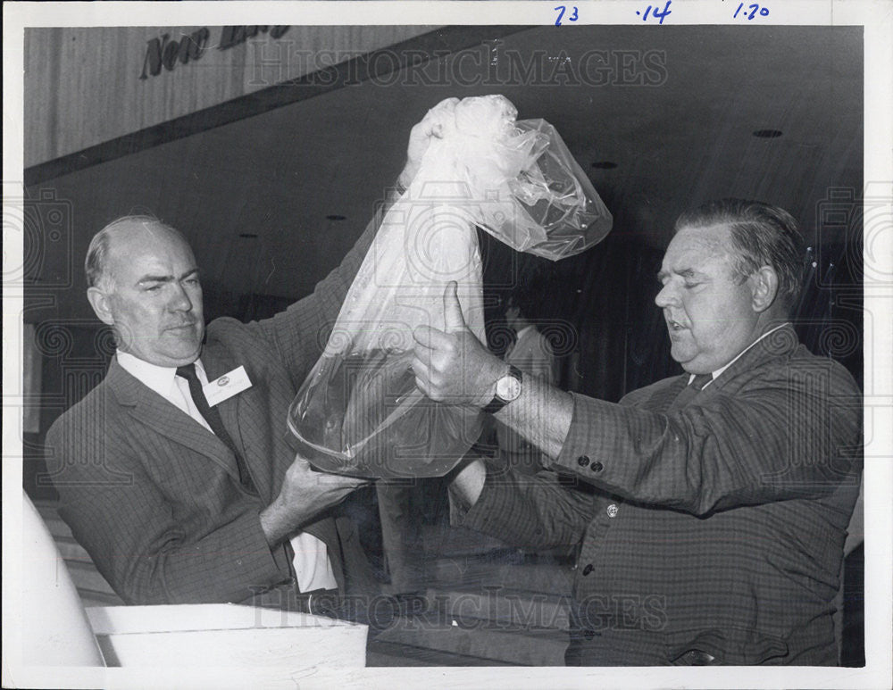 1969 Press Photo Elmer Taylor &amp; Arthur Sullivan Examine Spiney Catfish - Historic Images